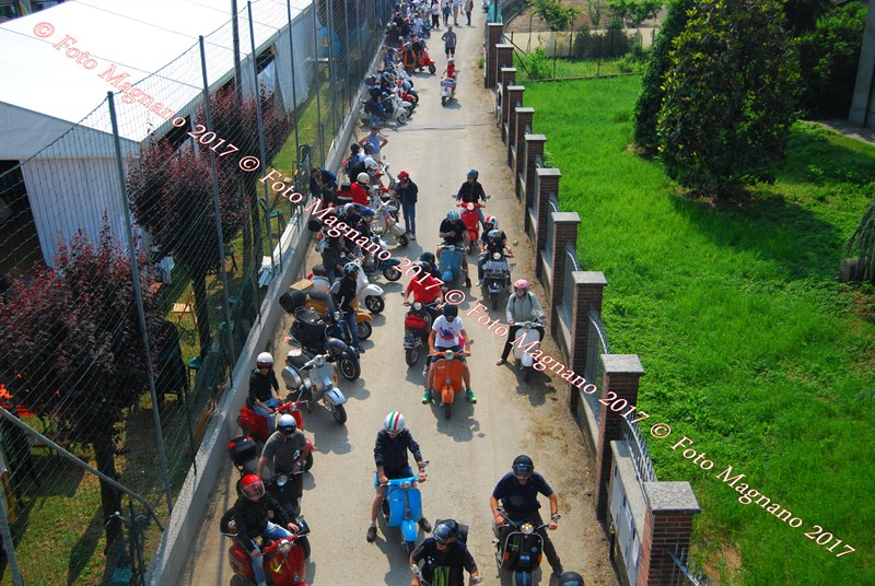 DSC_4950.JPG